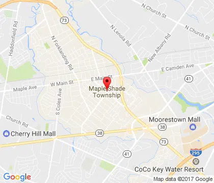 logo-image - mapleshade-nj